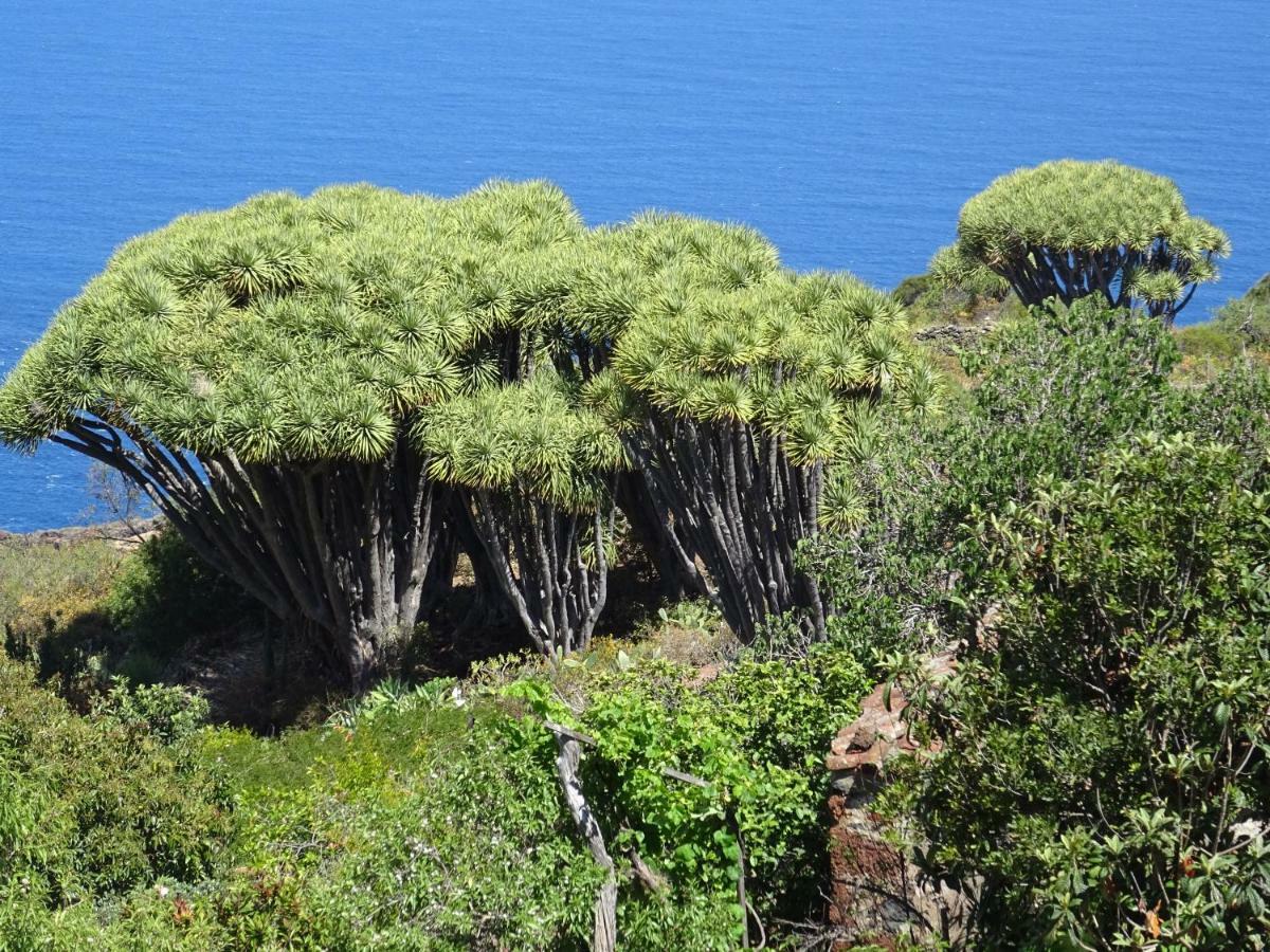 PuntagordaCasa Fagundoアパートメント エクステリア 写真